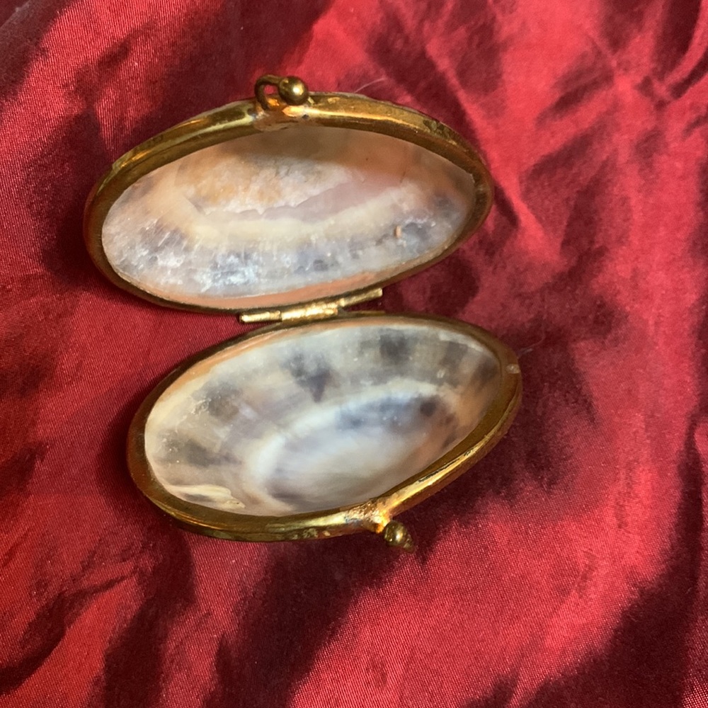 Shell Box - Picture 3 of 4